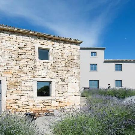 别墅 Rustic Luxury With Stunning Interior In Tinjan